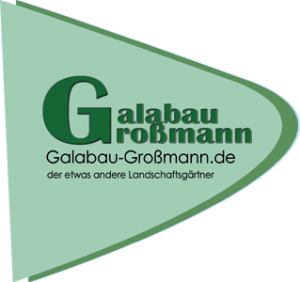 Galabaum Großmann